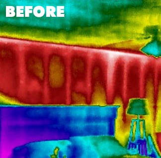 summer-before-thermal-image
